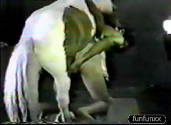 Video :Horse wrecking and smashing the pussy of a horny lady